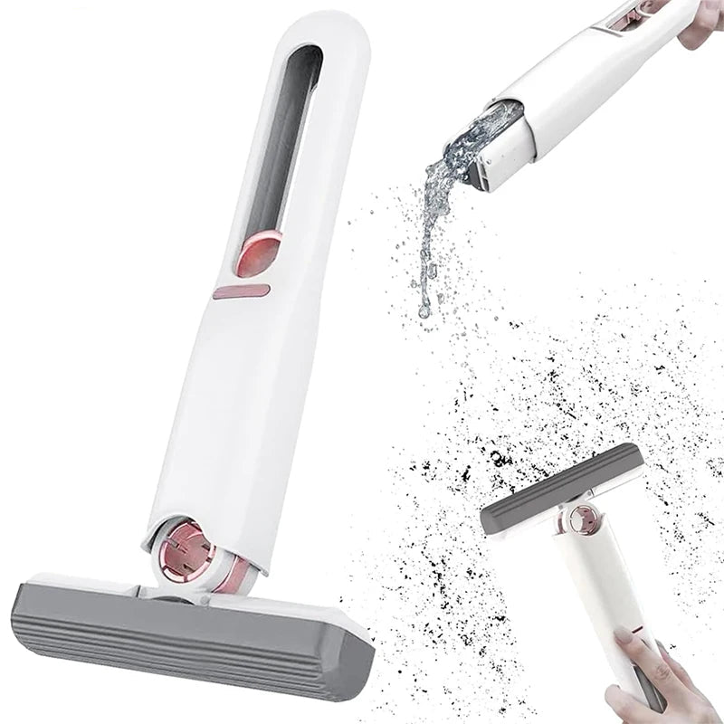&nbsp;CleanMini Pro