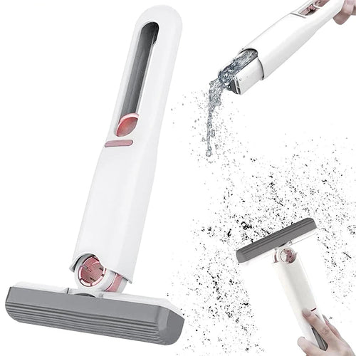 &nbsp;CleanMini Pro